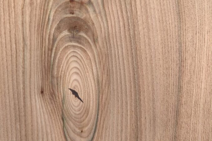 Living Alpin Piz Alv