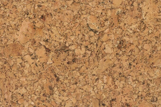 GRANORTE Decodalle Forest 1