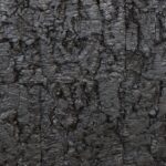 GRANORTE Rusticork Bark Black 2