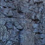 GRANORTE Rusticork Bark Bluemoon 1