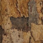 Granorte Rusticork Sandstone