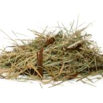 organoid_wildspitze_light