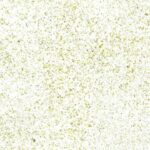 organoid_mous_light1