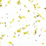 organoid_mous_light1