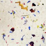 organoid_bliatnpracht_light