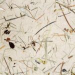 organoid_wildspitze_light